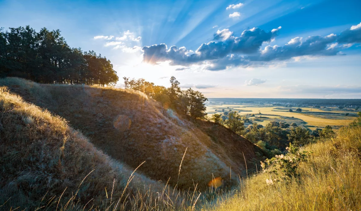Czy są zmiany w prawie jak kupić artykuł sponsorowany?