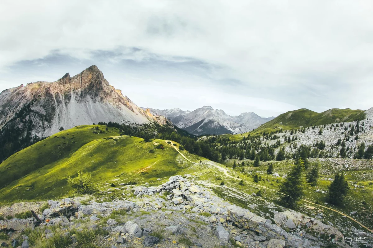 Jak fajnie reklamować?