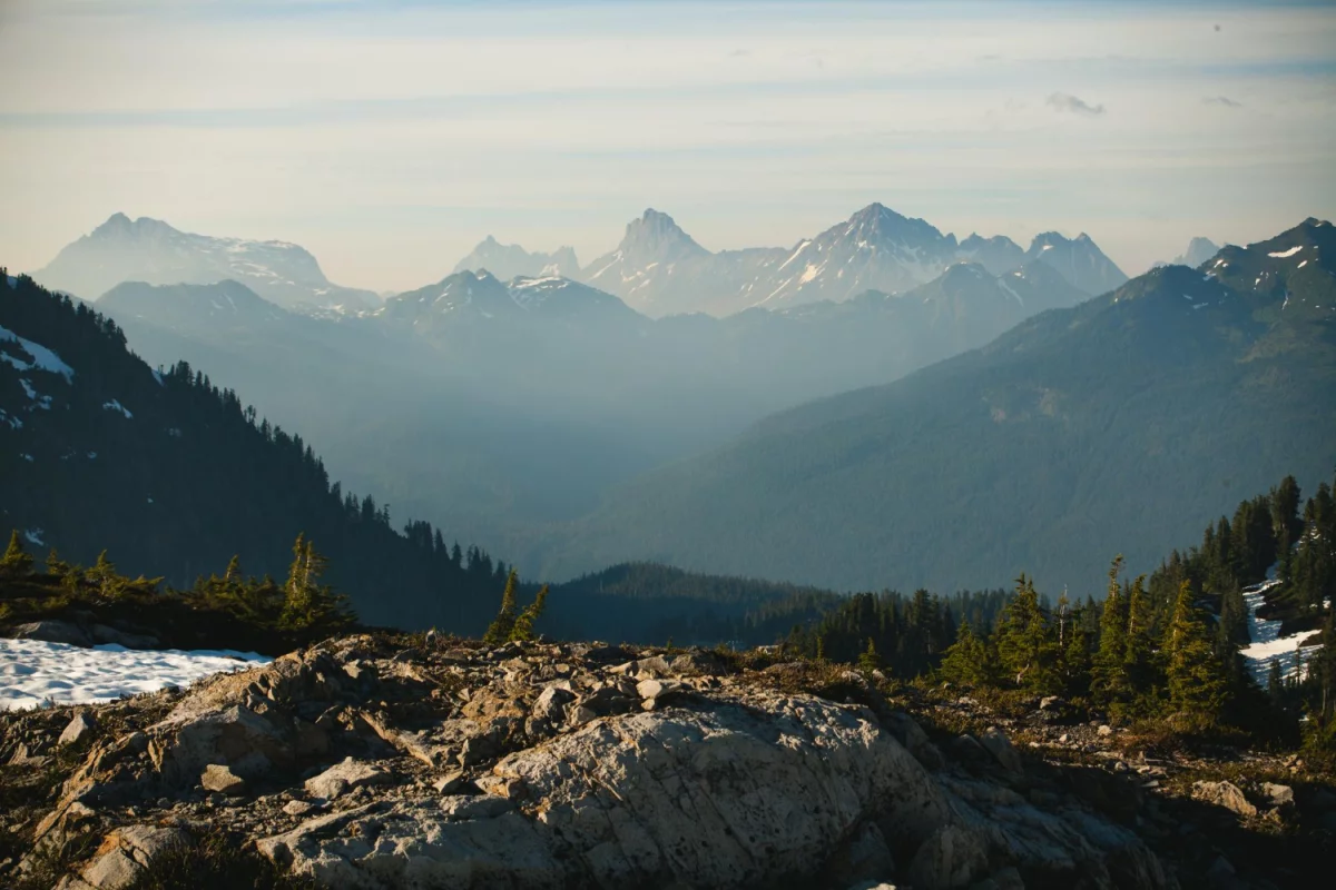 Nigdy Nie Rób Tych 4 Rzeczy Jeśli Chcesz chronić środowisko
