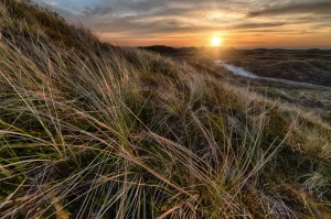 Kilka kwestii związanych z energetyką i transformatorami