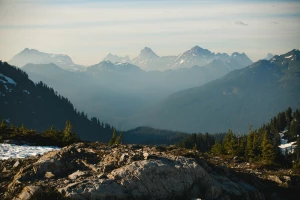 Czy można opublikować artykuły sponsorowane po godzinach?